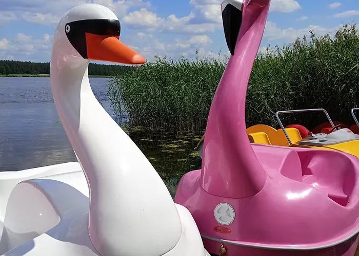 Mazurski Osrodek Szych * Bogusze